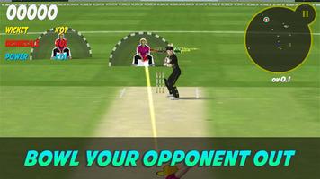 Bullseye Cricket capture d'écran 1
