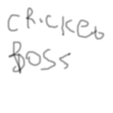 The Cricket Boss APK