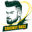 CricketBuzz Fast Live Line