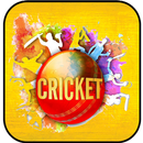 Cricket Latest Game APK