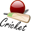 Live Cricket Updates 2015