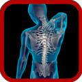 X-Ray Scanner