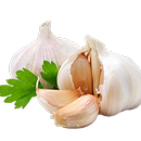 Health Benefits of Garlic-APK