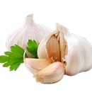 Health Benefits of Garlic aplikacja