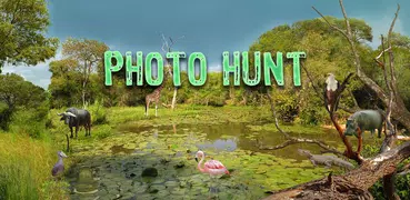 Hidden Animals: Photo Hunt