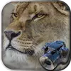 無料で 隠れている動物 アイテム探し無料 日本語 探し物ゲーム アプリの最新版 Apk1 3 002をダウンロードー Android用 隠れている動物 アイテム探し無料 日本語 探し物ゲーム Apk の最新バージョンをダウンロード Apkfab Com Jp