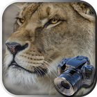 Hidden Animals: Photo Hunt ไอคอน