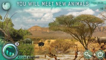 Hidden Animals: Photo Hunt โปสเตอร์