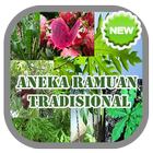 Aneka Ramuan Tradisional icon