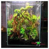 Aquascape image اسکرین شاٹ 1