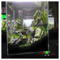 Aquascape image screenshot 3