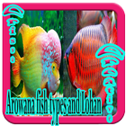 Arowana fish Species And Lohan ไอคอน