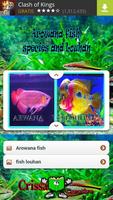 Arowana fish Species And Lohan Affiche