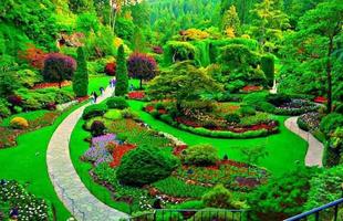 characterized flower garden স্ক্রিনশট 3