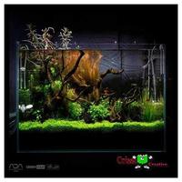 برنامه‌نما 230 Desaign Aquascape عکس از صفحه