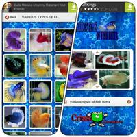 Various Types Of Fish Betta Poster