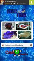 Various Types Of Fish Betta capture d'écran 2