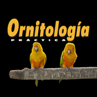 Ornitología Práctica icône