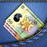 Bani de Buzunar icono