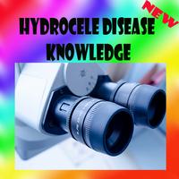 Hydrocele Disease Knowledge پوسٹر