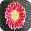 crochet discloth patterns aplikacja