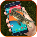 Big Crocodile in Phone Screen - Scary Joke aplikacja