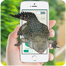 APK Crocodiles attack on screen prank