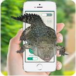 Crocodiles attack on screen prank