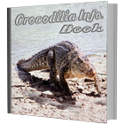 Crocodilia Info Book Zeichen