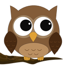 Flying Owl icône