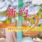 新约圣经概览 2 (试阅版) 圖標