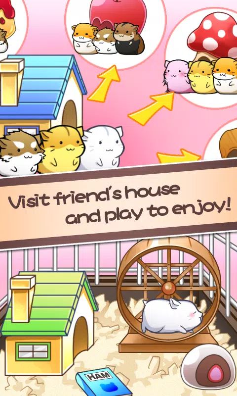 Cute Hamster - Pet Caring Game APK + Mod for Android.