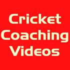 Cricket Coaching أيقونة