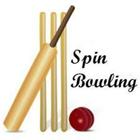 Cricket Coaching Spin Bowling icono