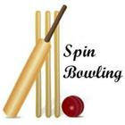 Cricket Coaching Spin Bowling icône