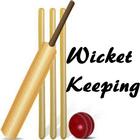 Cricket Coaching Wicketkeeping icône