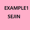 example1sejin