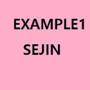 example1sejin APK