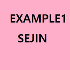 example1sejin icône