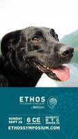 Ethos Veterinary Symposium '17 Affiche