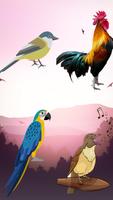 Birdsong - Bird of Sounds Affiche