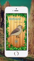 Birdsong - Bird of Sounds capture d'écran 1