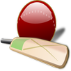 Hit Cricket - World Fastest Cricket Match Game APK
