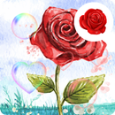 Colorful Love Rose Wallpaper APK
