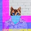 CryptonCat APK