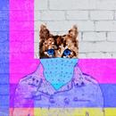 CryptonCat APK