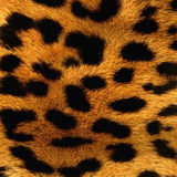 Kristall-Leopard-Tapete Zeichen