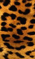 Fond D'écran cristal léopard Affiche