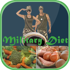 The Military Diet Plan (3 Days)-icoon