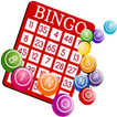 Bingo Express